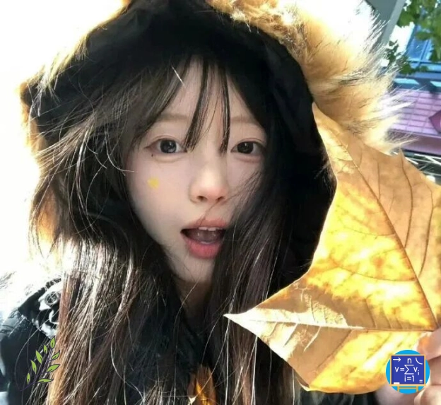 南城用户